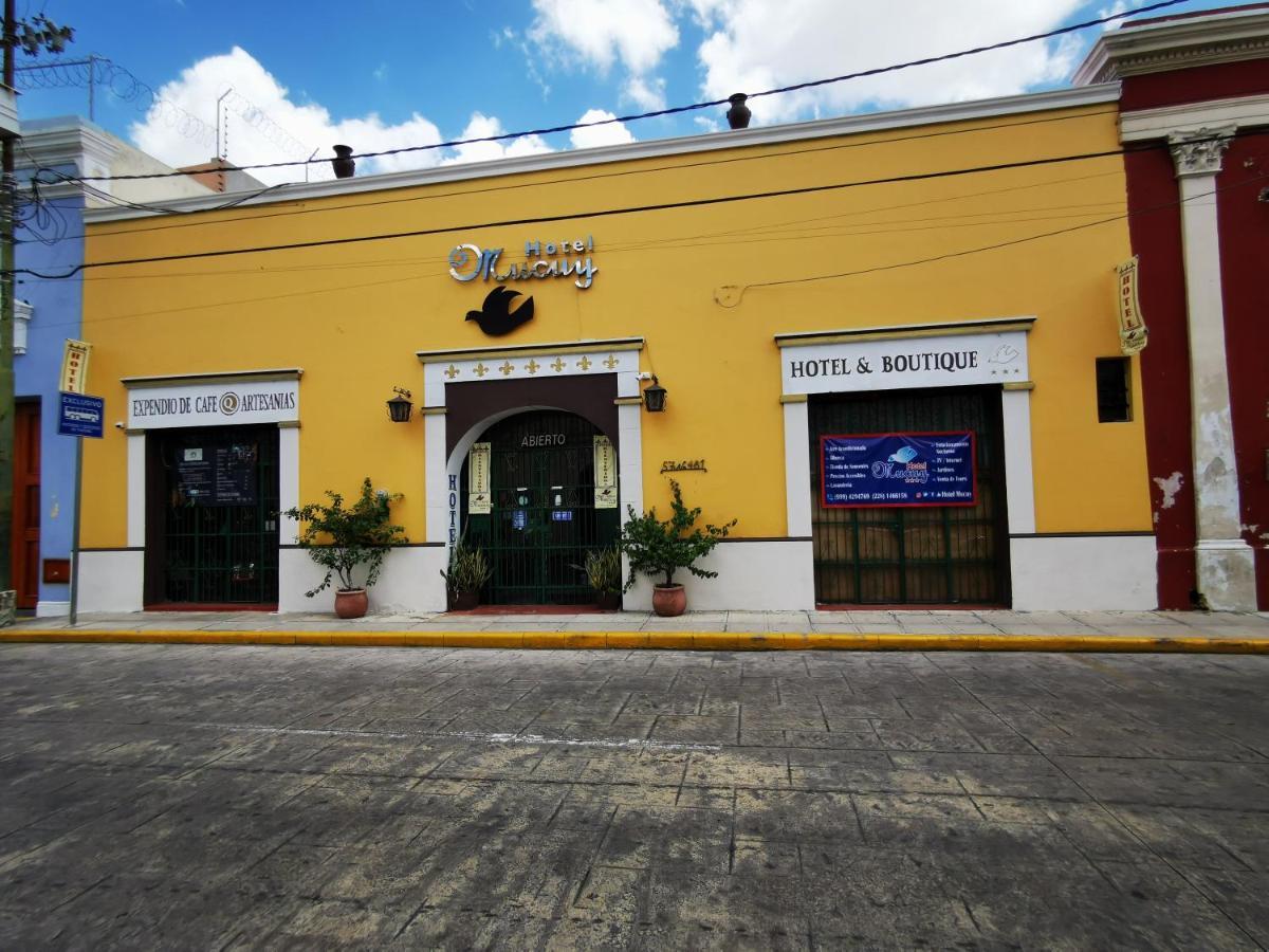 Mucuy 3* Mérida
